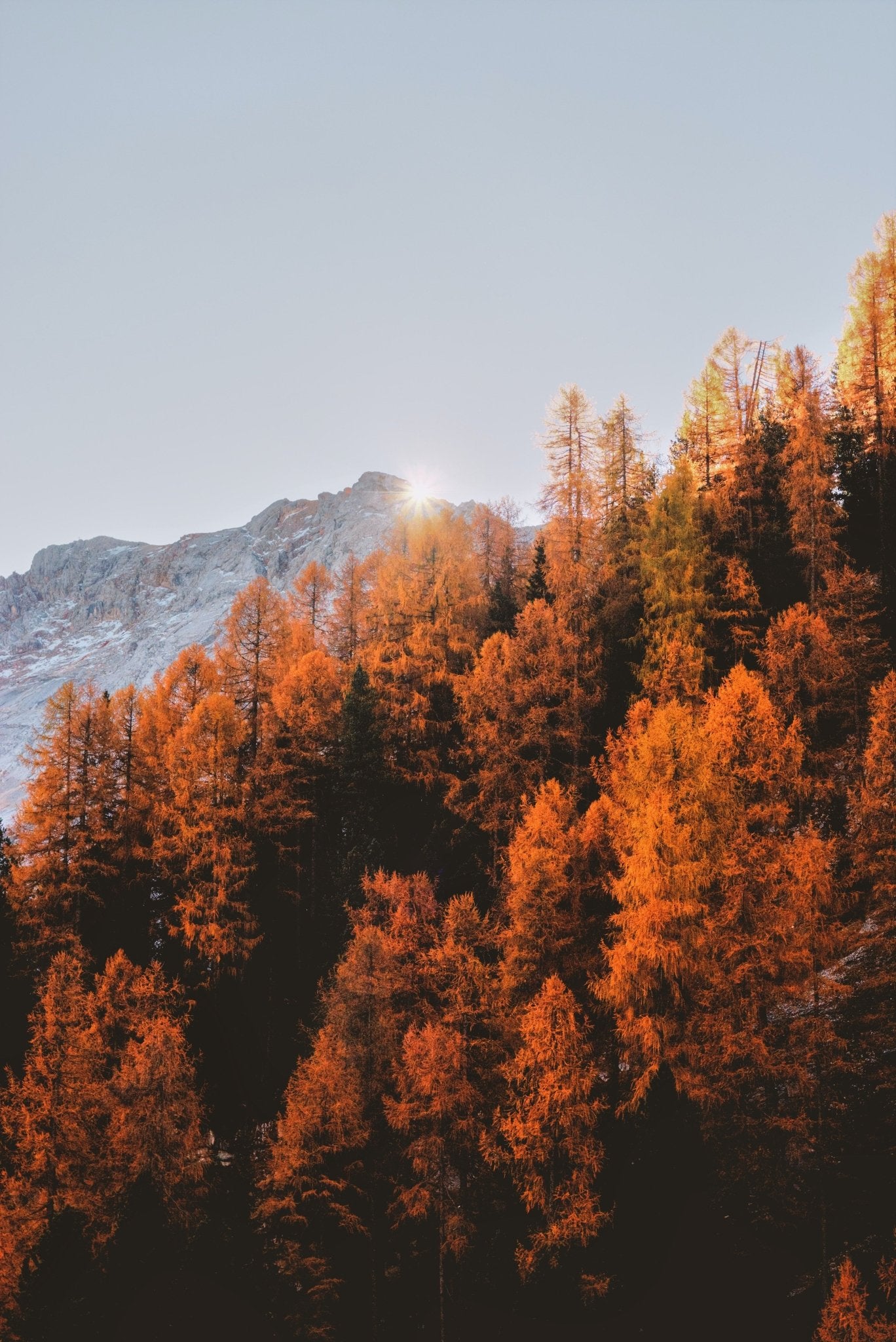 Herbstdüfte - Kazaar